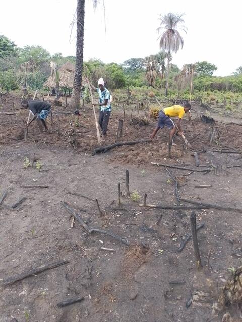 Cultivadores de arroz